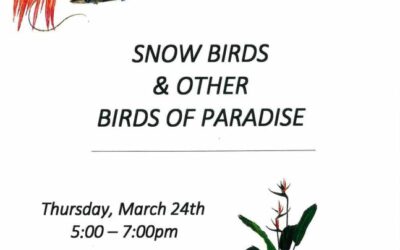 Snow Birds + Other Birds of Paradise